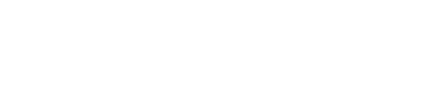 Sucesso Inteligência Empresarial Logo